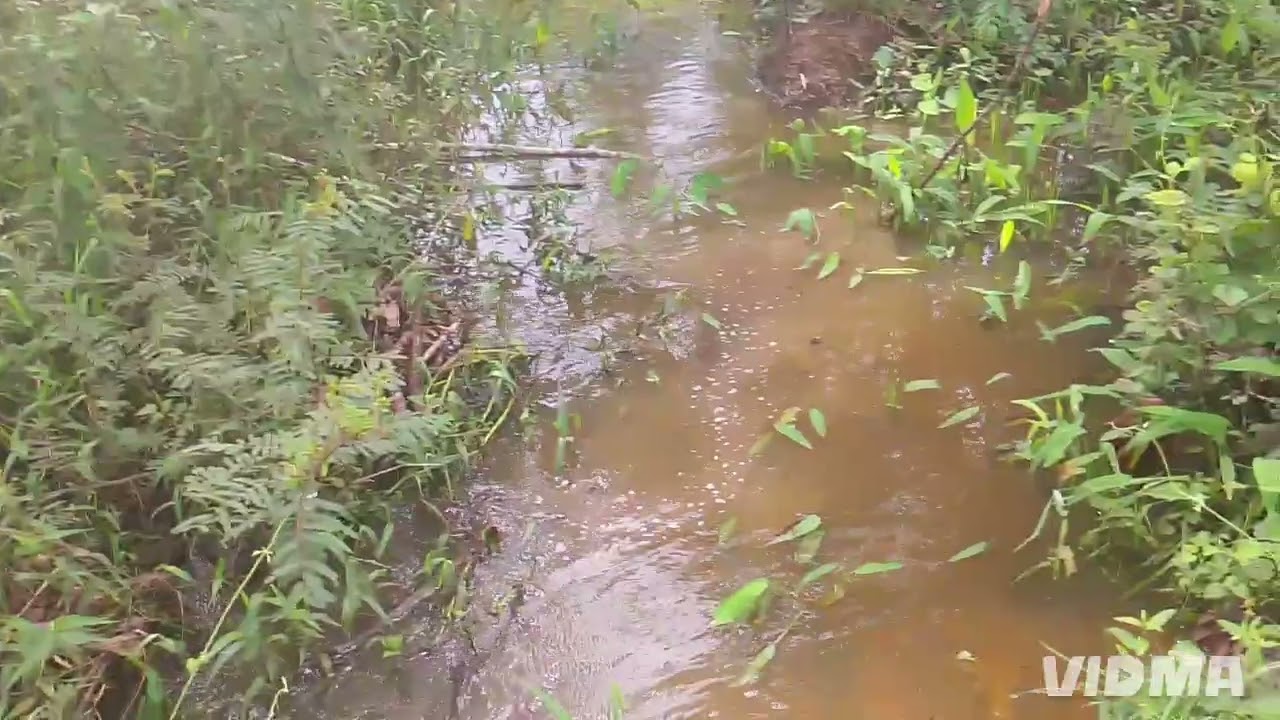 Amei meu engancho nesse Riacho veja só 🐟🐟🐟