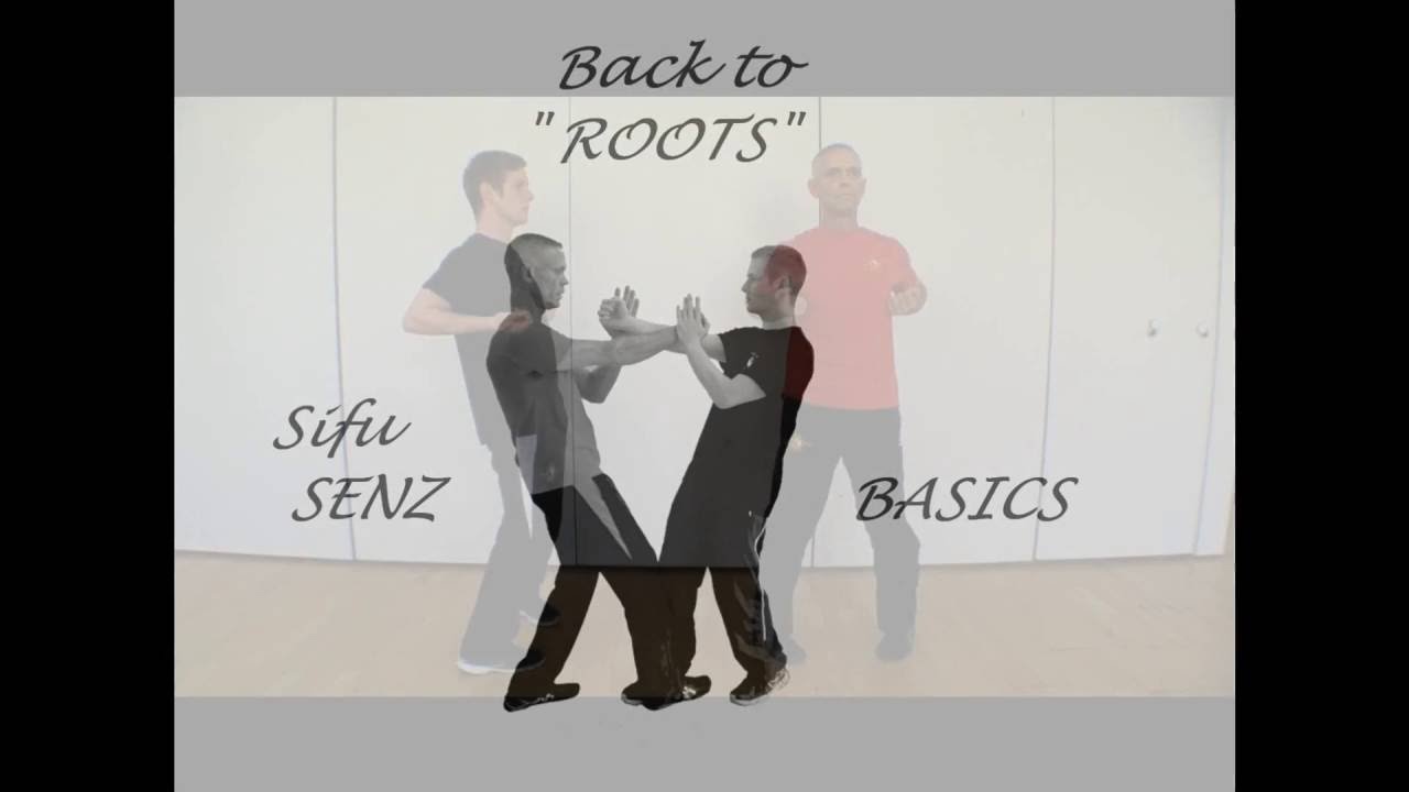 Wing Chun BASICS 1.2: Siu Nim Tao Satz 2. Zentr. Fauststo&szlig; (Dar) & Huen Sao
