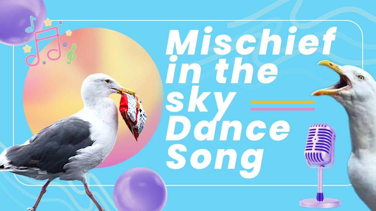 Mischief in the sky: Funny Dance Music Video | Sky Thieves Compilation (Seagull Shenanigans)