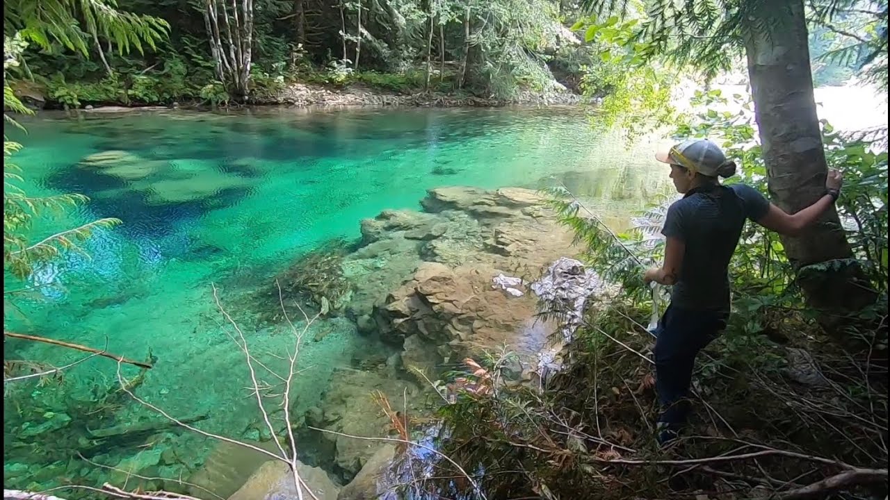 Vancouver Island Trail thru hike: Lake Cowichan to Port Alberni