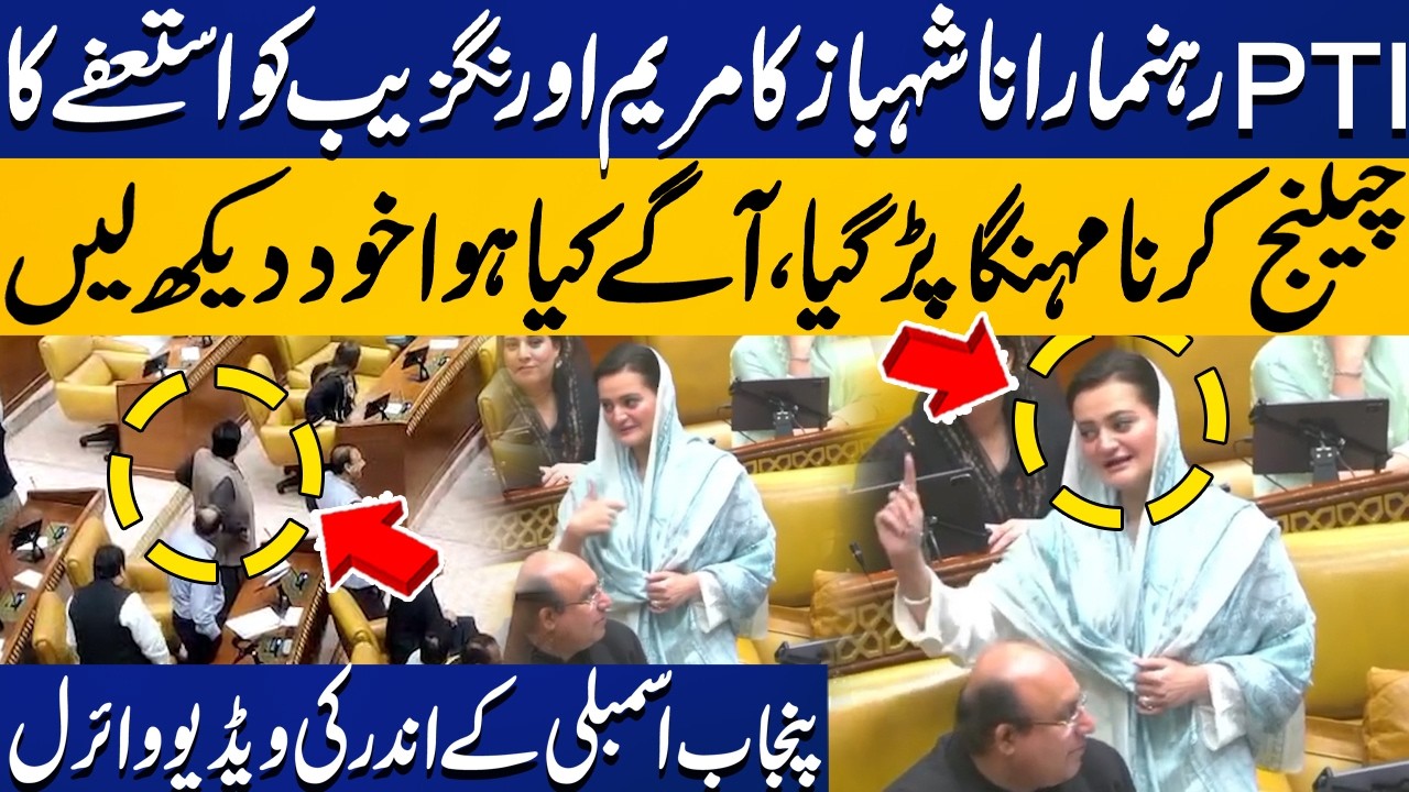 PTI Leader Rana Shahbaz VS Marriyum Aurangzeb | What Happened In Punjab Assembly | Video Goes Viral
