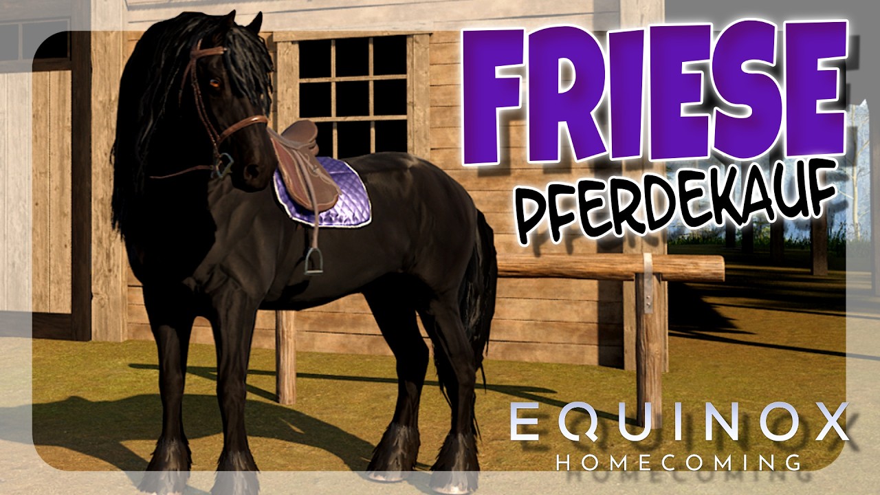 ICH KAUFE DEN NEUEN FRIESEN 🐴 Equinox: Homecoming
