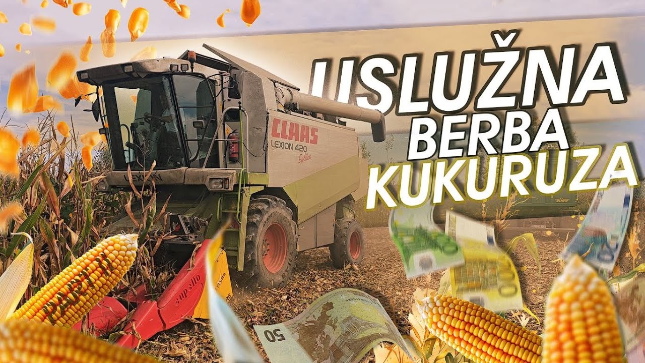 Daily Work Log on My Farm | #64.5 Amazing Corn! Custom Harvesting for a Neighbor 🌽🔥