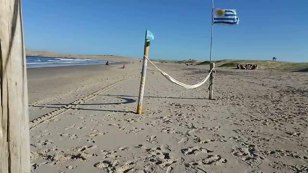 Que.bien.vo/EXCELENTES buñuelos de ALGAS en el mejor lugar del mundo 