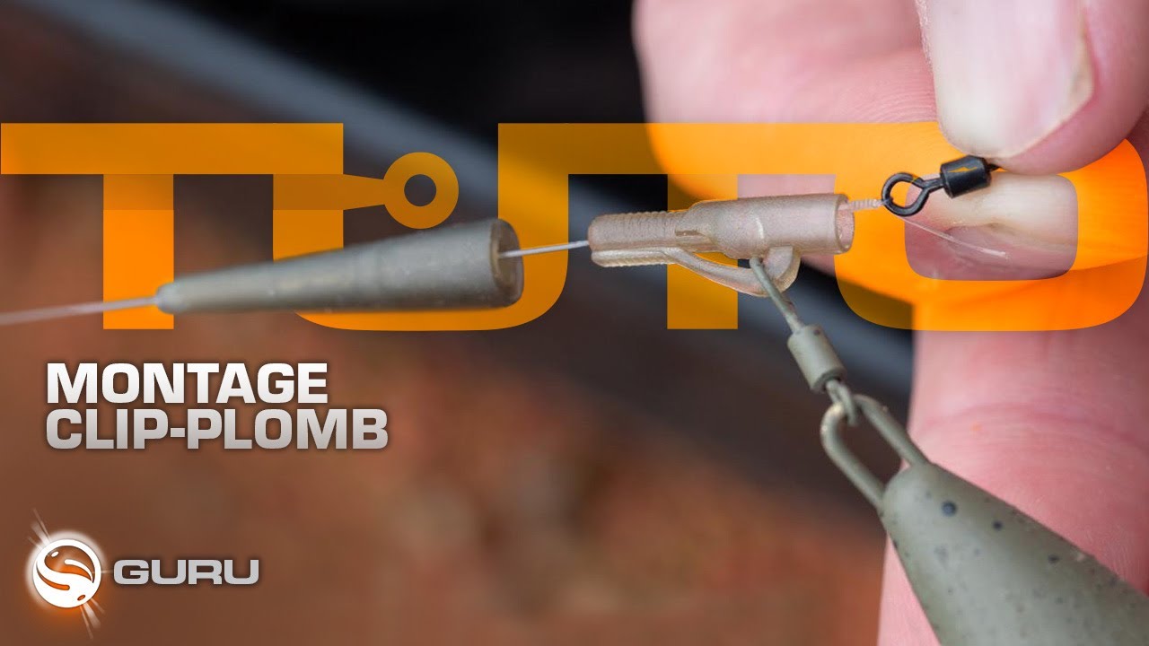 Montage feeder gros poisson Clip plomb et sac PVA