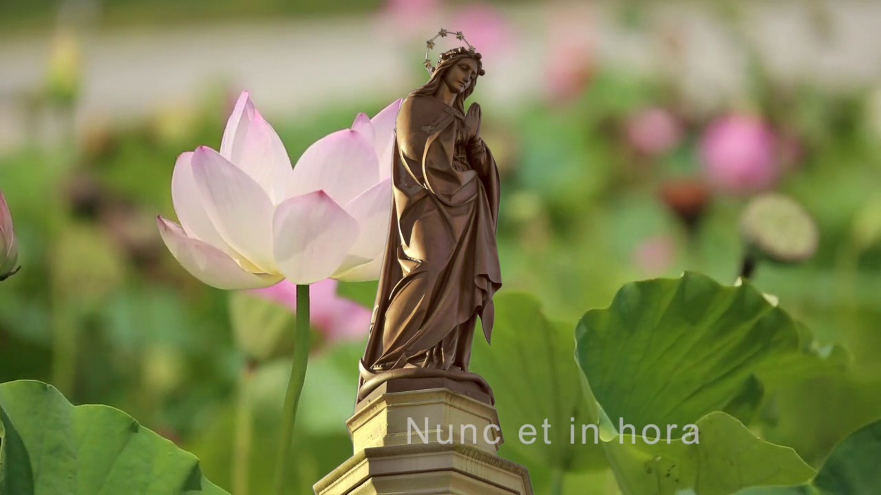 Ave Maria, gratia plena  |  Emmanuel Music