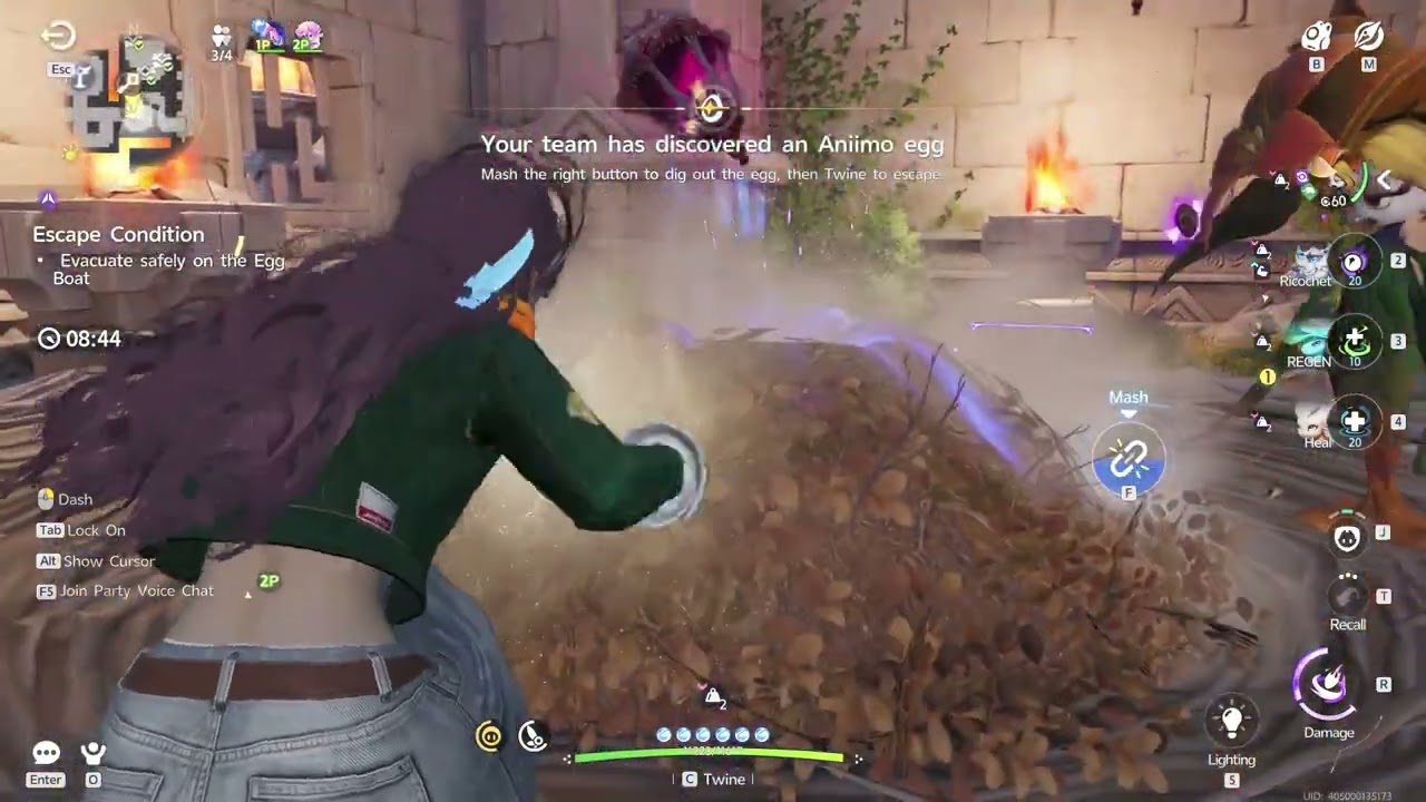 Aniimo Operation: Egg Heist (F2P)