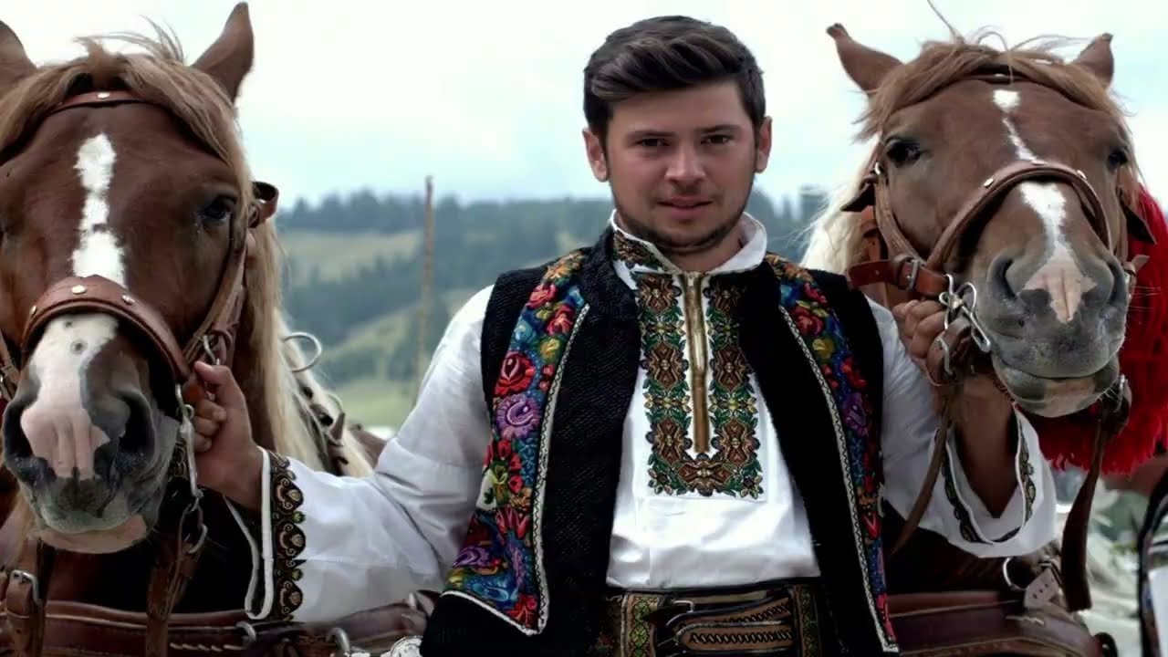 ALAN SI FERMA DE NEBUNI