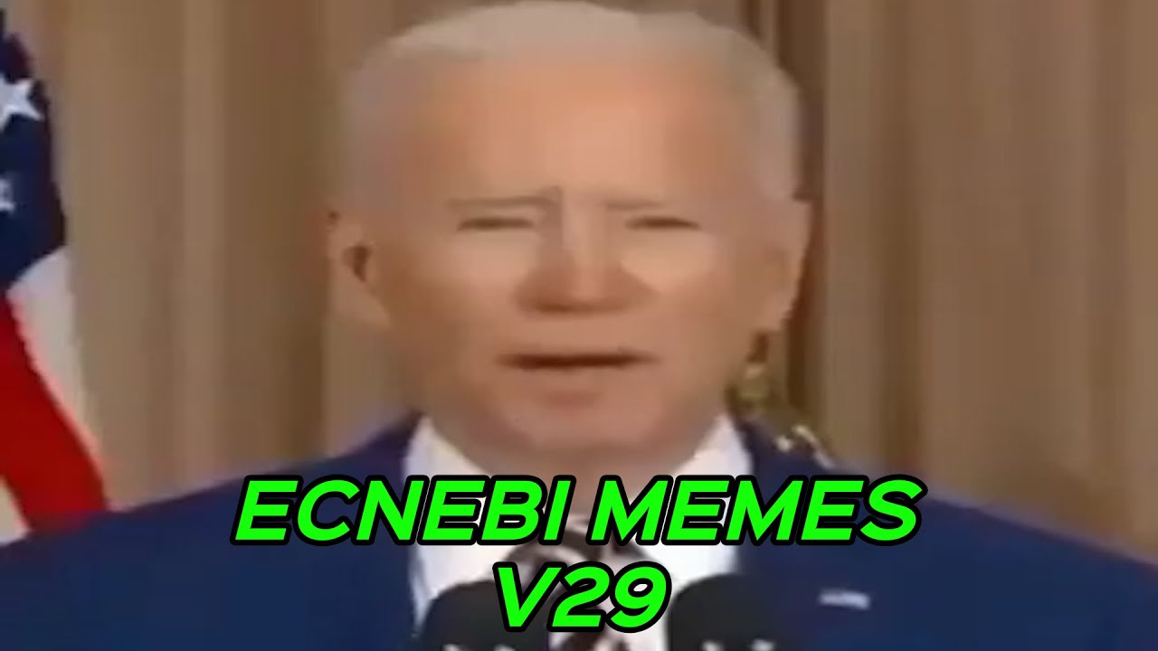 ECNEBI MEMES V29
