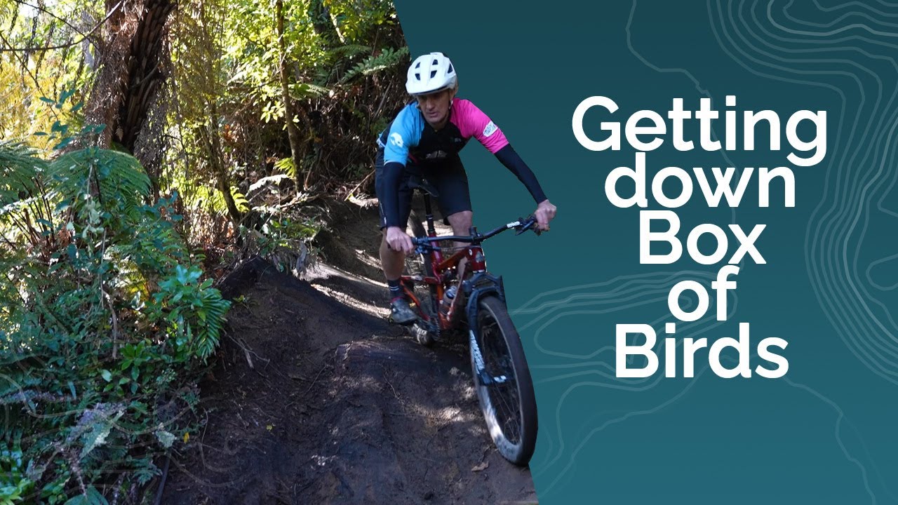 Riding Box of Birds - Whaka 100 Technical Terrain Series