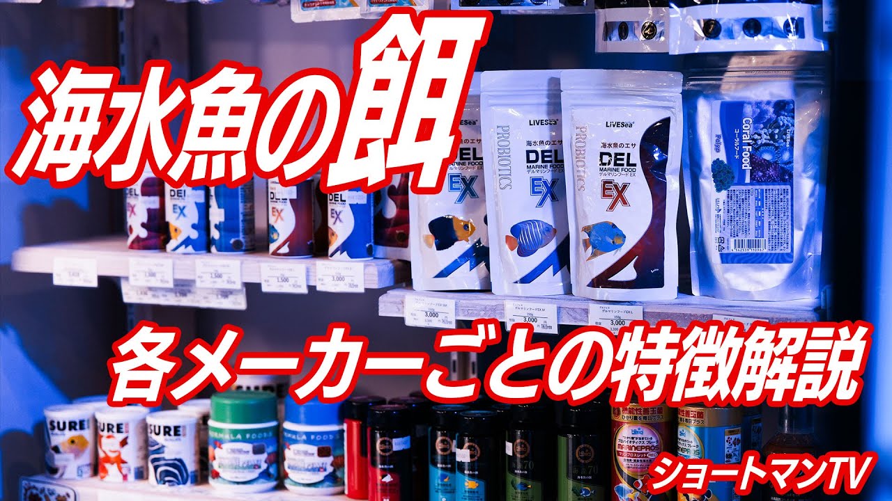 ショートマンTV！海水魚の餌ごとの特徴解説！！