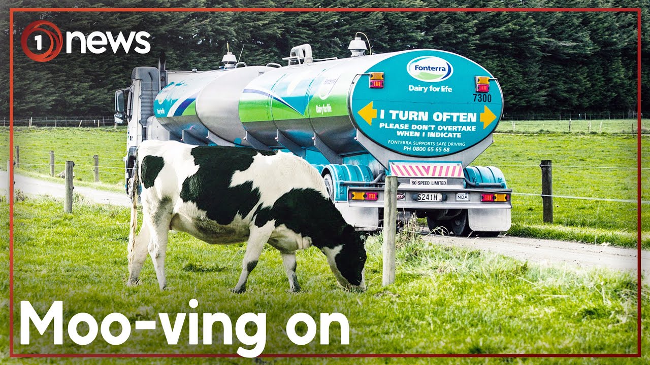 Fonterra ditches some of its best known brands | 1News