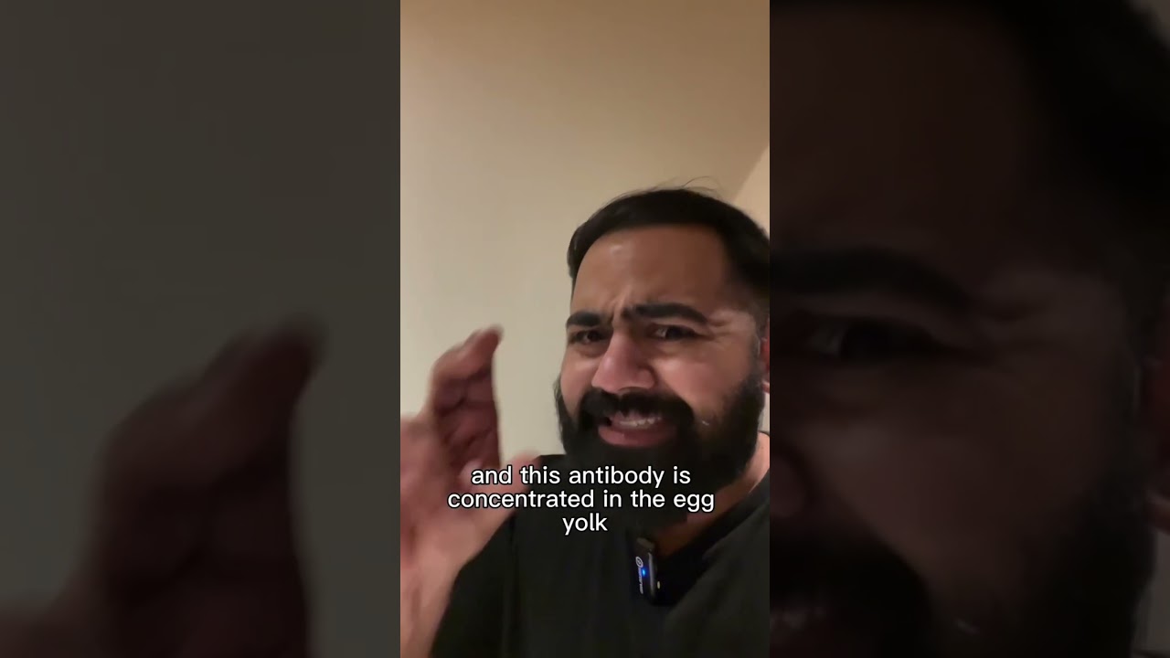 Doctor Explains How To Get Rid Of Cat Allergies!