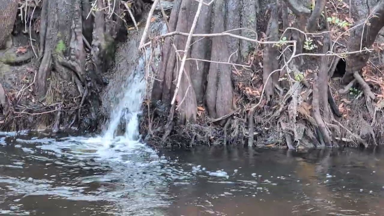 Yellow Swing Helps Gauge Height of Little Econlockhatchee & Mini Waterfalls Riverside Park! Oviedo 