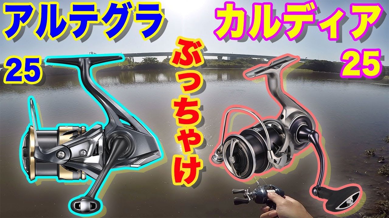 【25 アルテグラ】ぶっちゃけ【25 カルディア】