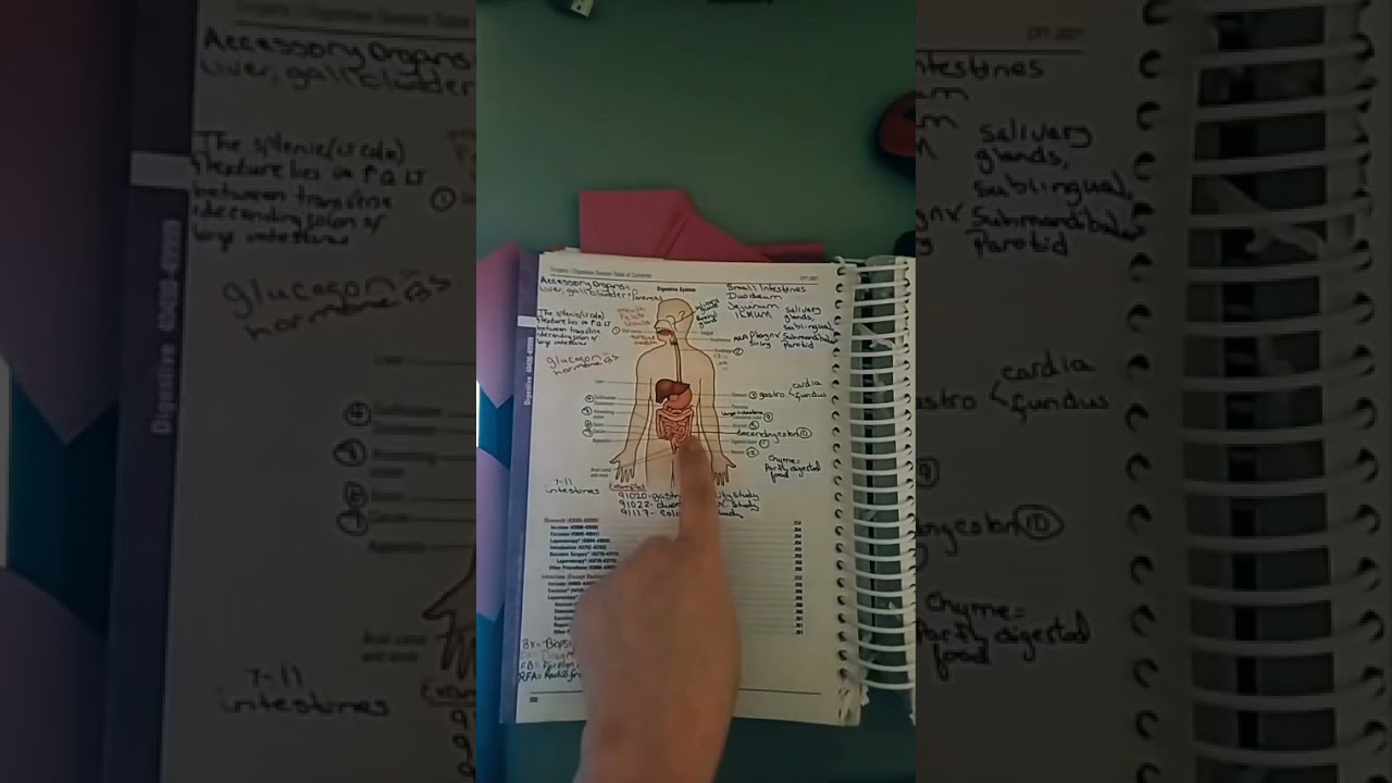 Repeat LIVE Part 1 on 12-1-2021 CPC Exam process of elimination Top ICD10 Guidelines. Anatomy on CPC
