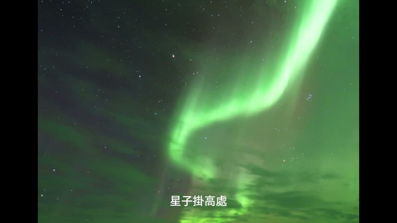 守夜的流螢