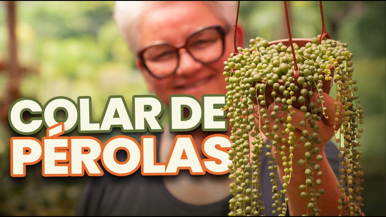 Guia de Cuidados com o Colar de pérolas
