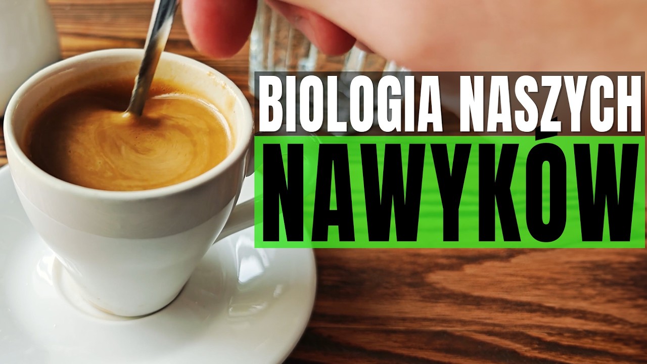 Jak nawyki działają na nasz mózg?