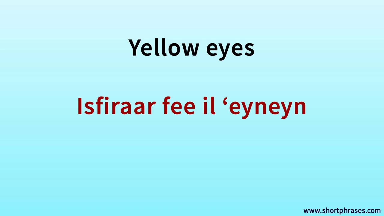 Learn Egyptian Arabic 500 Phrases say ''Yellow eyes''
