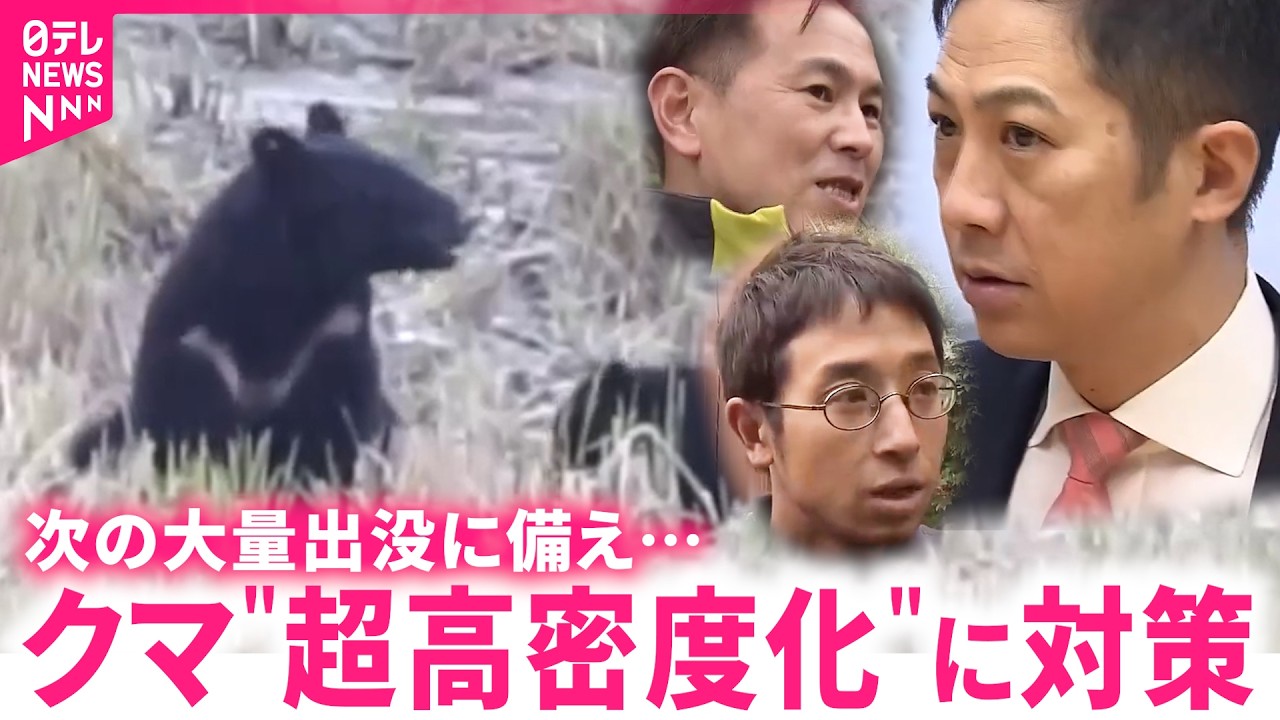 【クマ】県は捕獲強化へ 生息数増加で