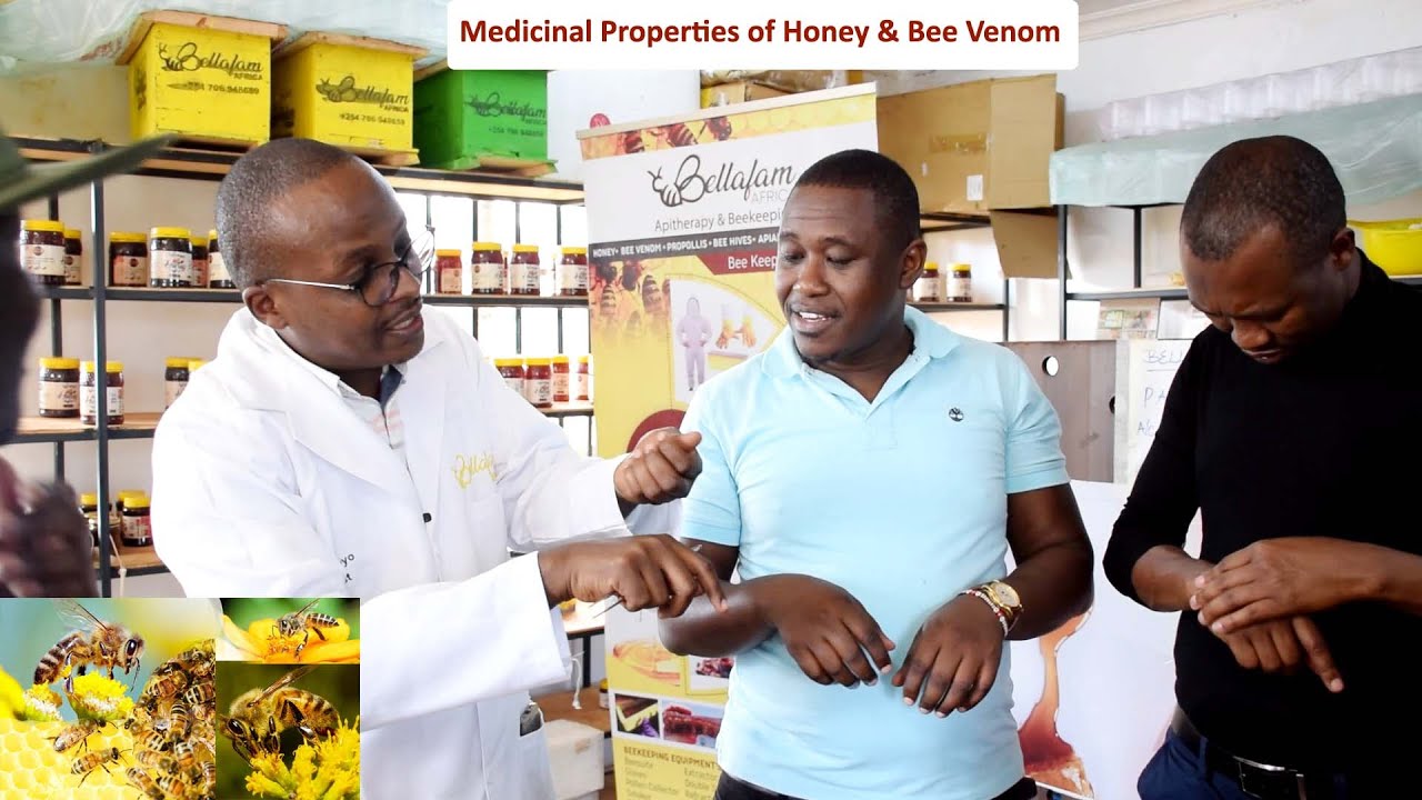 Apitherapy - Bee venom therapy and other medicinal properties of honey