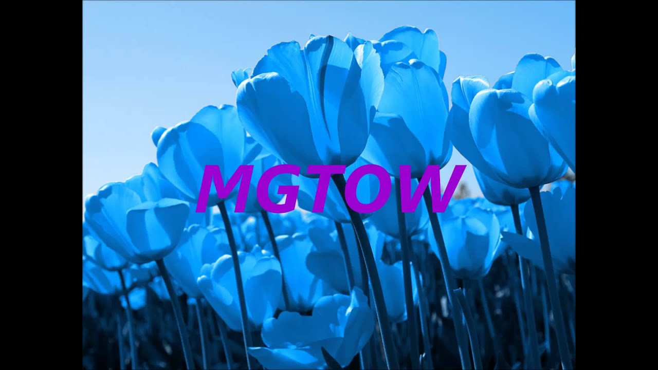 MGTOW - The Real Zeta Male