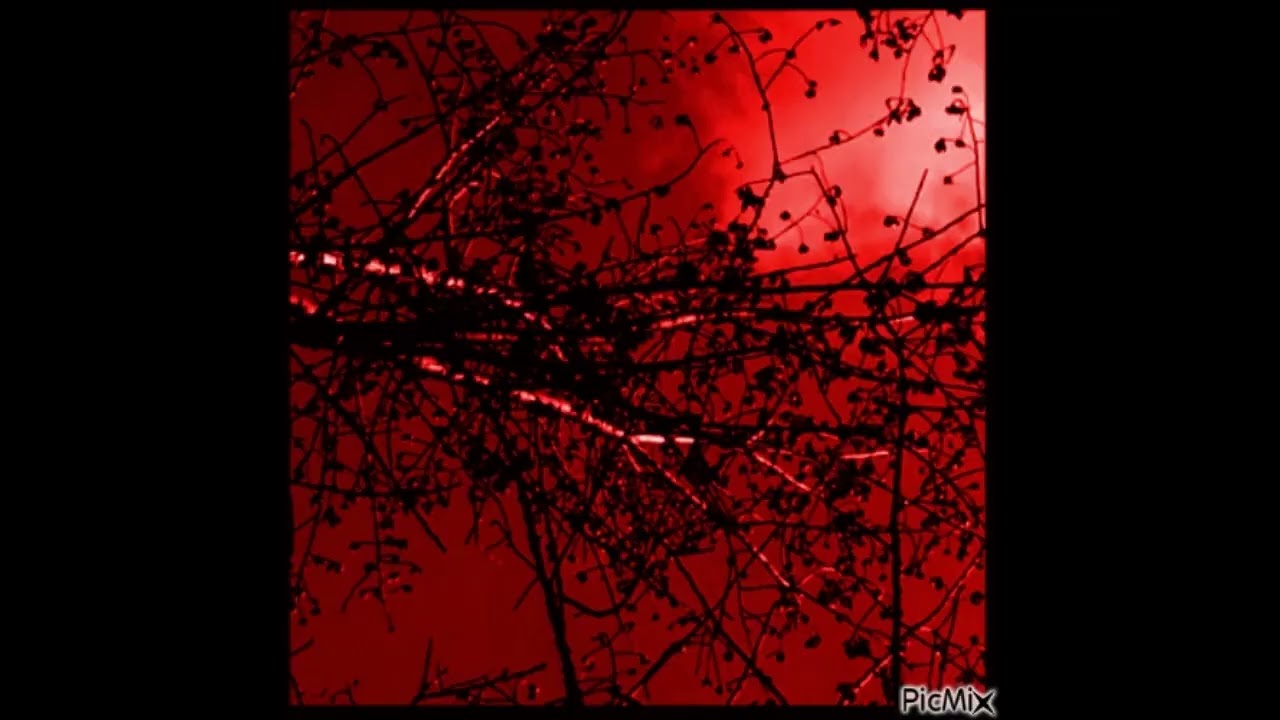 BL00DJEMZ - No escape for you (BREAKCORE)