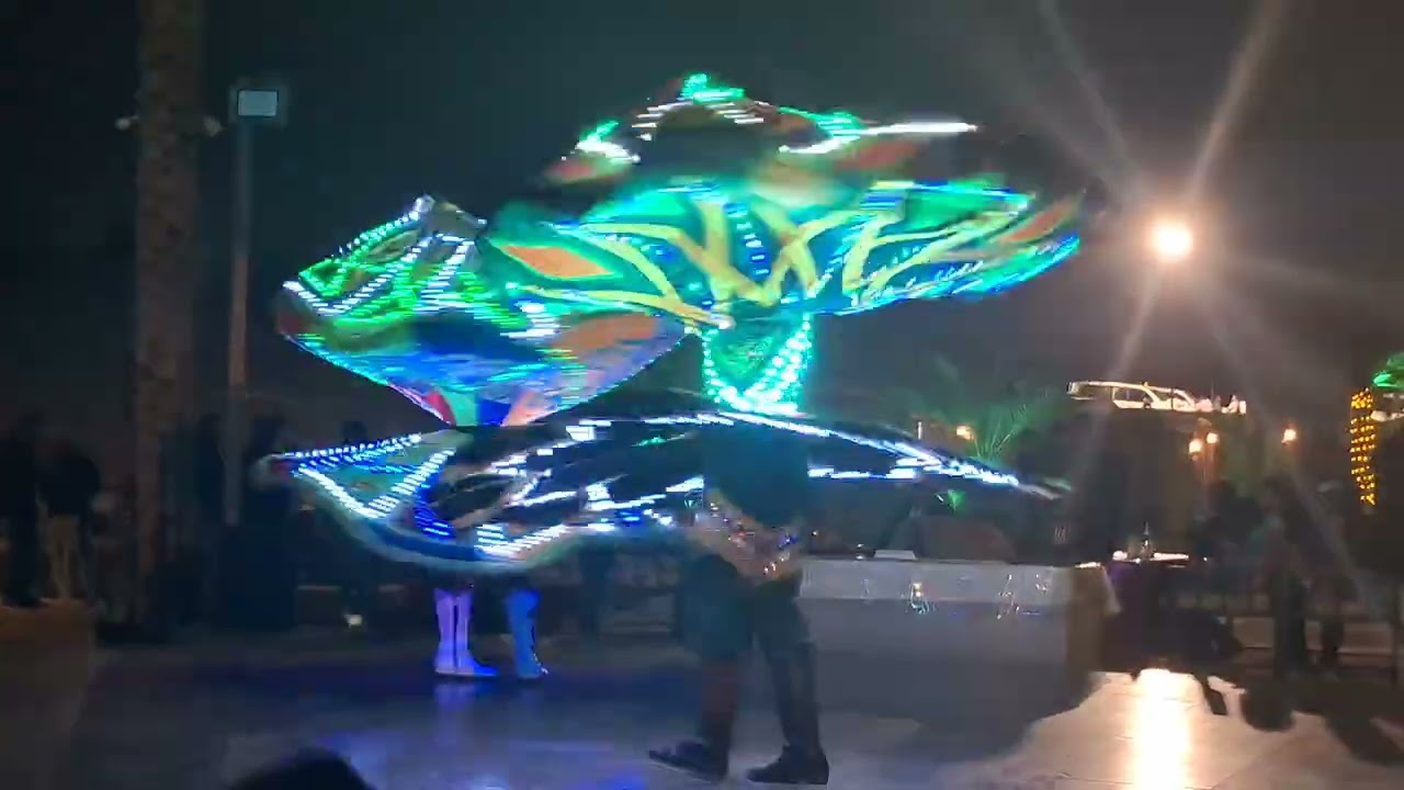 #Dubai Safari #Go kite #dubaimusic  