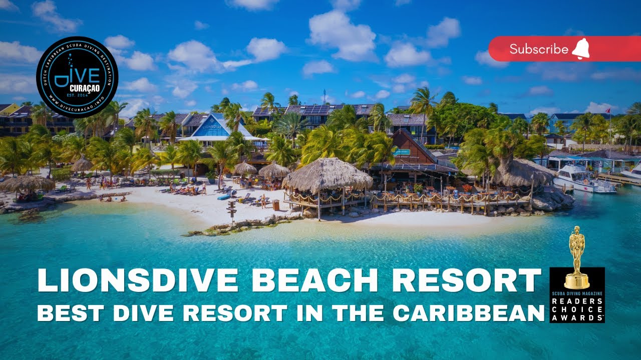 LionsDive Beach Resort: Best Eco-Dive Resort in Cura&ccedil;ao (filmed in 4K)