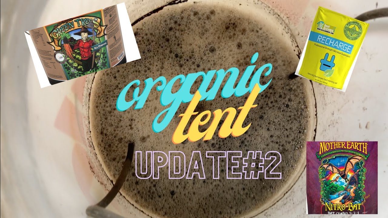 AC Infinity tent update #2 -#acinfinity #howtogrowmarijuana #cannabis #plants #horticulture #organic