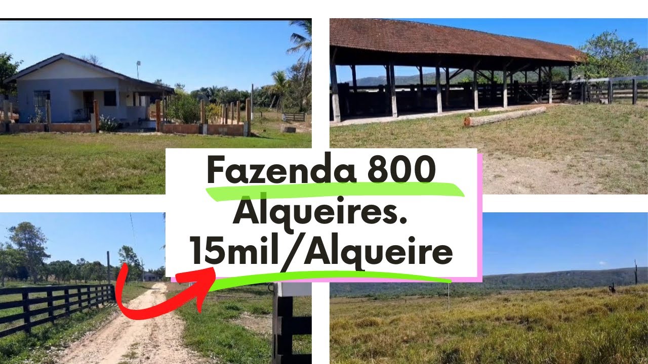 OBSERVAÇÃO VENDIDA FAZENDA A VENDA NA CIDADE DE JURUENA MATO GROSSO 1.936 HECTARES 60KM ESCRITURADA