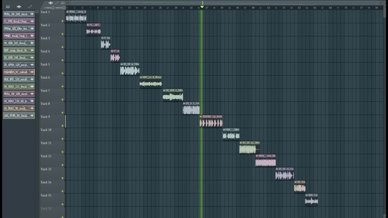 VOCAL CHOPS SAMPLE PACK 2022 ( SLAP HOUSE , REGGAETON, DEEP HOUSE , MOOMBAHTON )