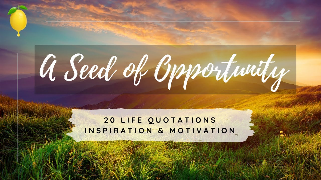 A Seed of Opportunity | 20 Life Quotes | Inspiration & Motivation