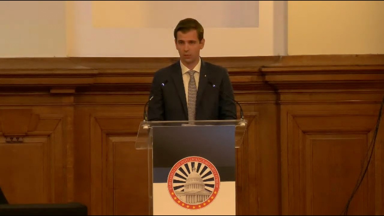 STRATEGIC MINERALS- Prof. Milos Ivkovic