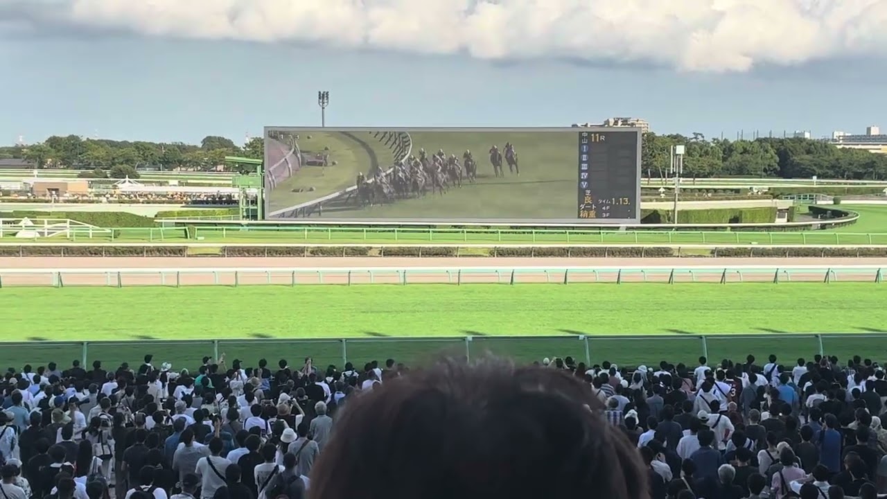 京成杯オータムハンデ(G3) 2025 中山競馬場現地