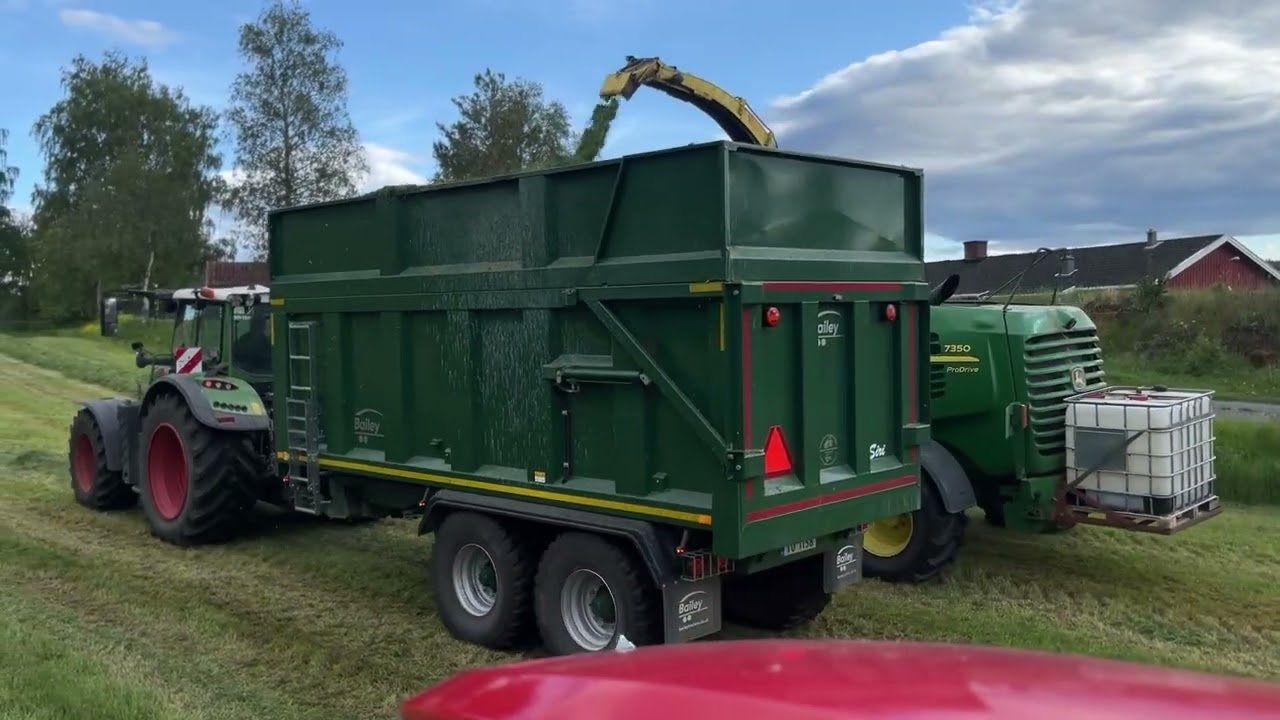 1ST CUT SILAGE (LYNNE GÅRD) NORWAY