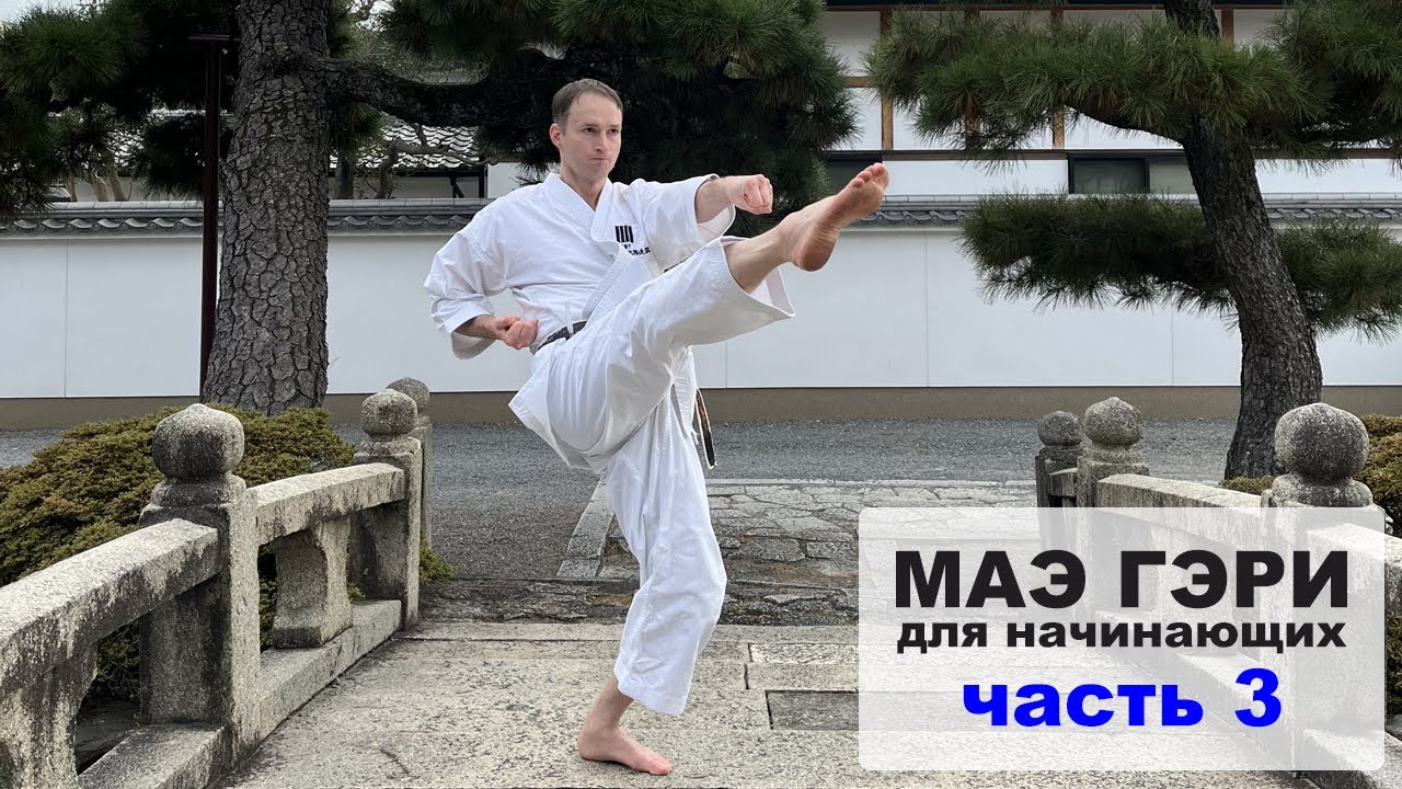 Маэ гэри для начинающих. Как применять прямой удар ногой в поединке? Фронт кик и ап кик