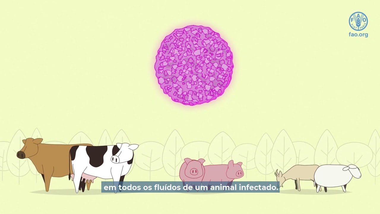 O que voc&ecirc; precisa saber sobre a Febre Aftosa