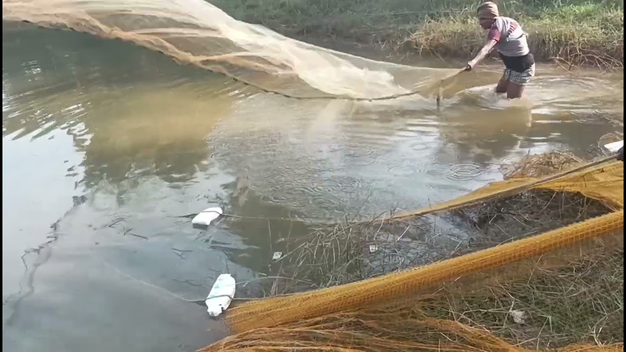मछली के जगह साँप फंस गया🐳🐋🐉🐠🐟
