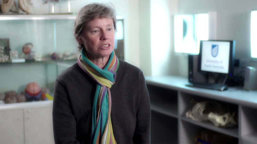 Podiatry overview - University of South Australia