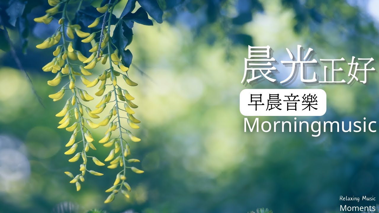 早晨音樂時光|🌤️清晨微光鋼琴音樂1小時|放鬆. 專注. 讀書. 工作｜每一段鋼琴旋律都為今天帶來好心情|早晨療癒旋律|鋼琴水晶音樂#morningmusic#pianomusic#鋼琴音樂