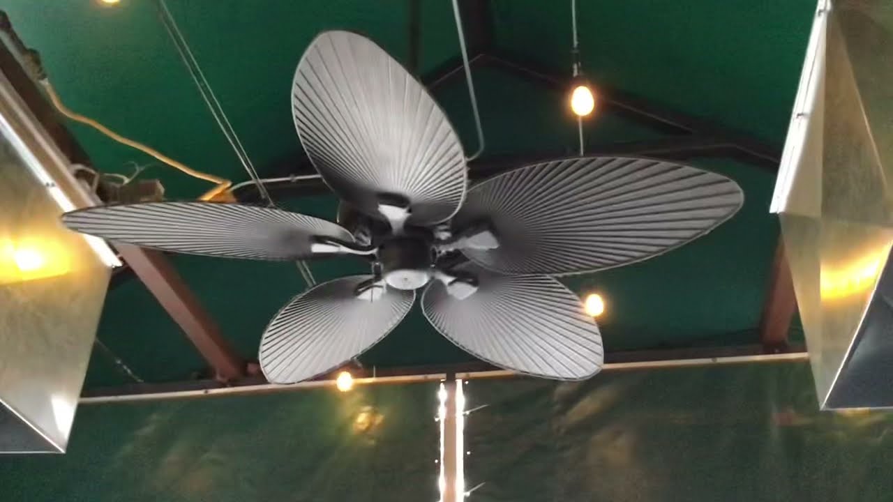 X4 Honeywell Palm Island 52&rdquo; Ceiling Fans (GREATEST HITS REMAKE)