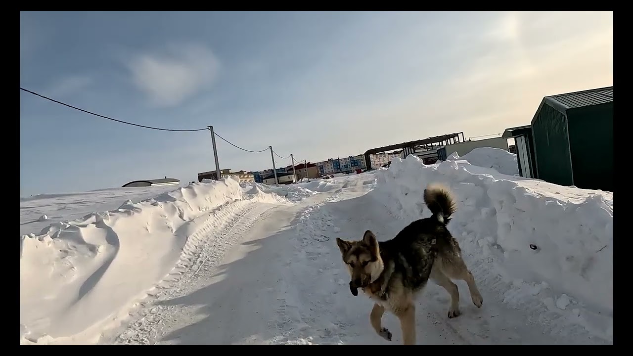 🙋‍♂️ ПРОГУЛКА ПО УГОЛЬНЫМ КОПЯМ / ЧУКОТКА /КРАЙНИЙ СЕВЕР