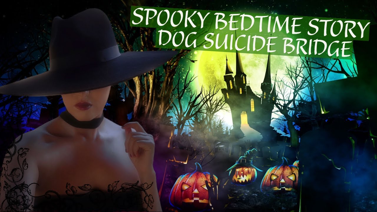 Dog Suicide Bridge; Bridge Of The Dead | Halloween Special