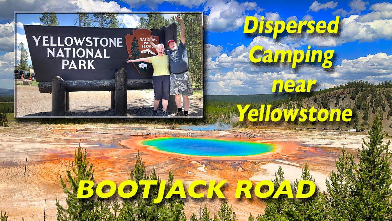 WEST YELLOWSTONE FREE DISPERSED CAMPING!  Bootjack Dr WILDLIFE with MOOSE. Beau & Aero Adventures