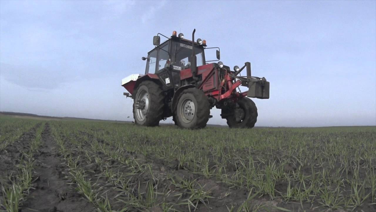 Őszi b&uacute;za fejtr&aacute;gy&aacute;z&aacute;s / wheat fertilizer