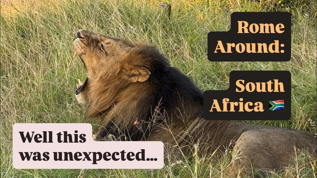 Unexpected Game Drive in Jozini… 