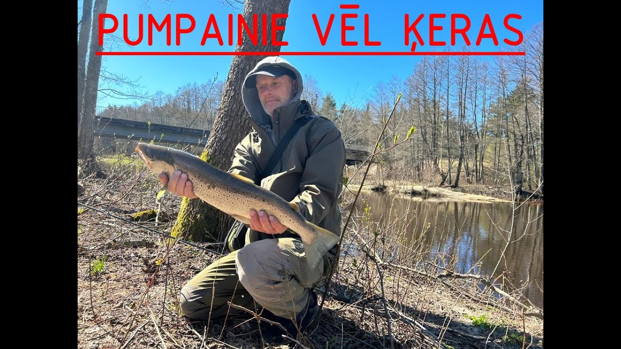 TAIMIŅU MEDĪBAS. VĒL ĶERAS!