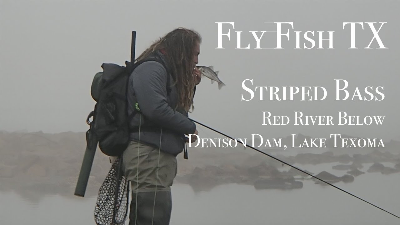 Striped Bass Fly Fishing: Red River Below Denison Dam